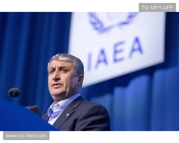 FIFA主席称美将欢迎伊朗队